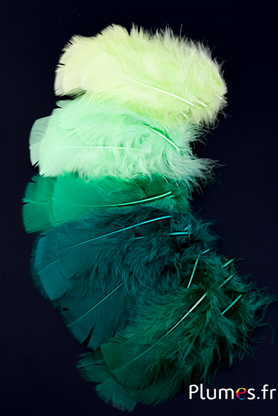 Dinde - 6-8 cm - camaïeu vert